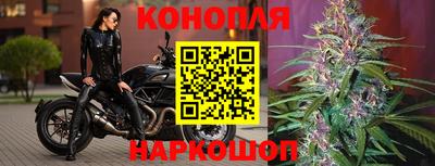 MESCALINE Гай